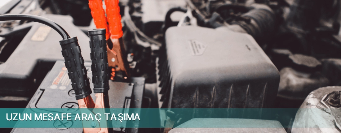 Tire İlçemi Uzun Mesafe Araç Taşıma